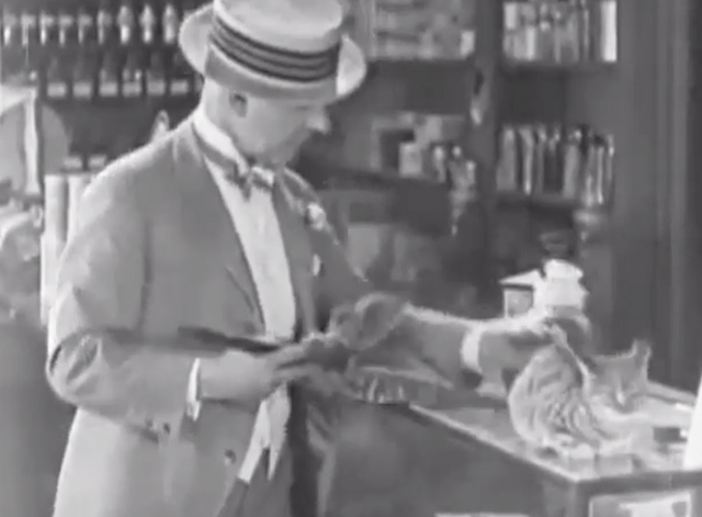 It's the Old Army Game - tabby cat sitting on counter with Elmer Prettywillie W.C. Fields