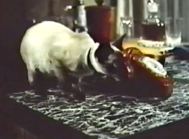 It Takes All Kinds - seal point Siamese cat Charlie Fang