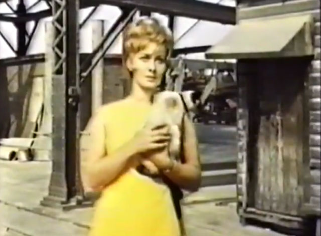 It Takes All Kinds - Duncan Penny Sugg holding seal point Siamese cat Charlie Fang