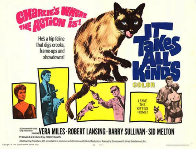 It Takes All Kinds - movie poster featuring seal point Siamese cat Charlie Fang