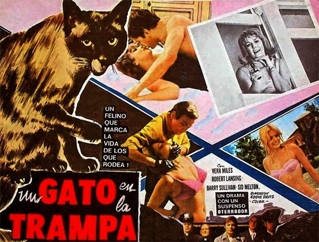 It Takes All Kinds - Spanish movie poster featuring seal point Siamese cat Charlie Fang