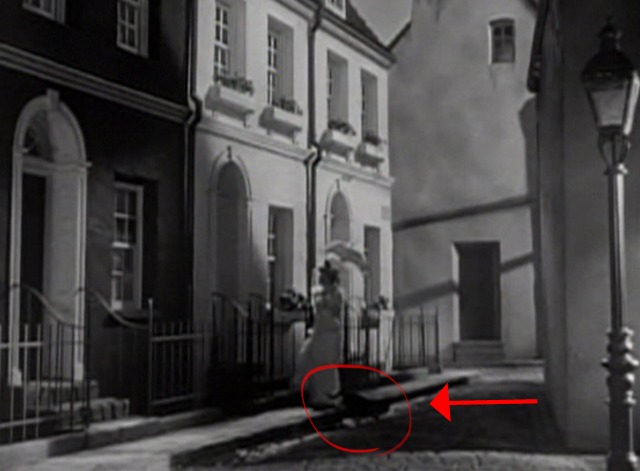 Ivy - black cat crosses Ivy Joan Fontaine's path