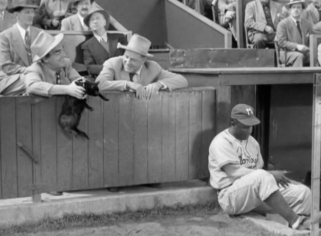 The Jackie Robinson Story - heckler in baseball stand holds black cat with Jackie Robinson