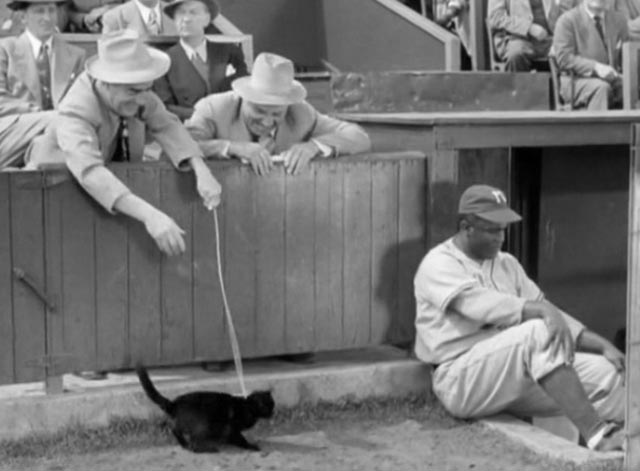 The Jackie Robinson Story - heckler in baseball stand drops black cat to ground with Jackie Robinson
