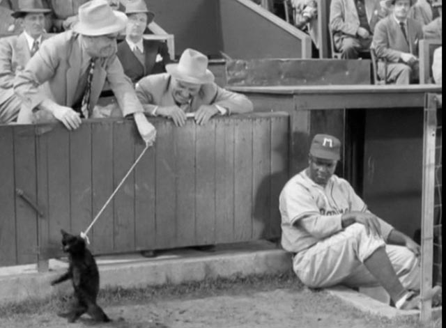 The Jackie Robinson Story - heckler in baseball pulls rope around black cat's neck with Jackie Robinson