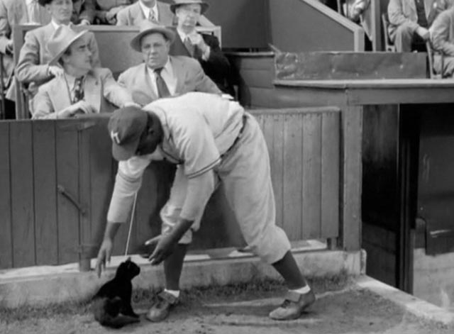 The Jackie Robinson Story - Jackie Robinson reaches down to pick up black cat