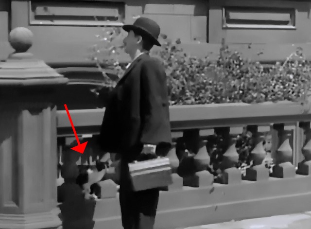 Jazz Heaven - Max Langley Clyde Cook petting tuxedo cat