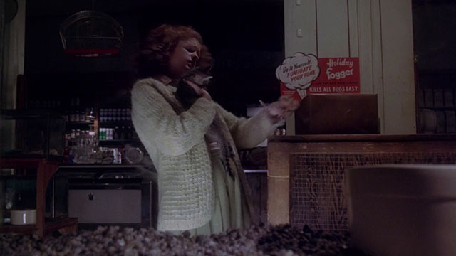 Jennifer - Lisa Pelikan holding brown tabby kitten in pet shop