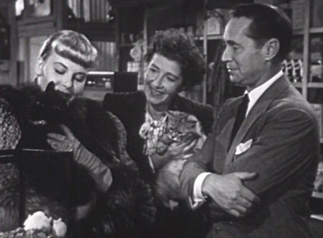 Jigsaw - Barbara Whitfield Jean Wallace holding long haired black cat Bennie Benvenuto in pet shop with Howard Franchot Tone and clerk with light colored long haired cat