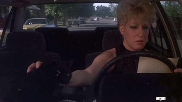 Jinxed! - black cat Angus petted on dashboard by Bonita Bette Midler
