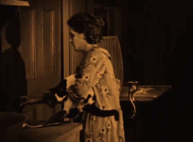 Johanna Enlists - Mary Pickford putting tuxedo cat out for the night