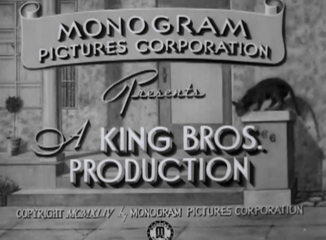 Johnny Doesn't Live Here Anymore - illustration of black cat by front doorway