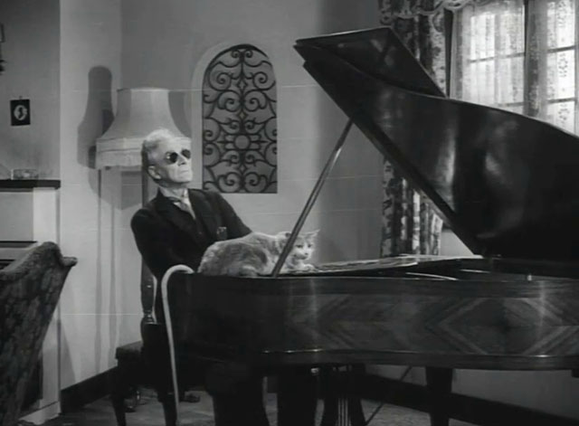 Johnny on the Spot - tabby and white cat on piano being played by blind man Douglas Herald