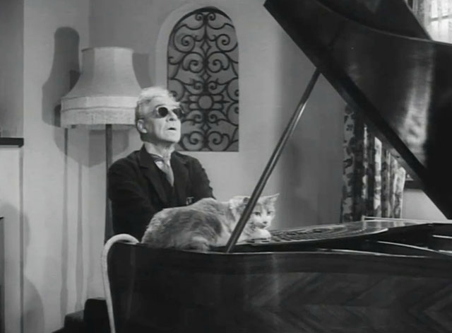 Johnny on the Spot - tabby and white cat on piano being played by blind man Douglas Herald