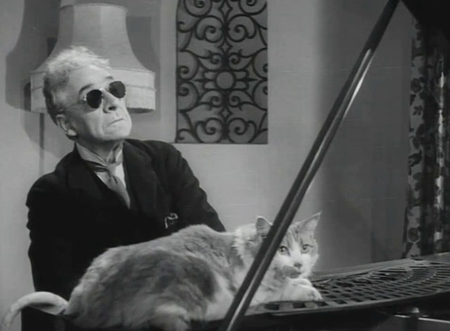 Johnny on the Spot - tabby and white cat on piano being played by blind man Douglas Herald