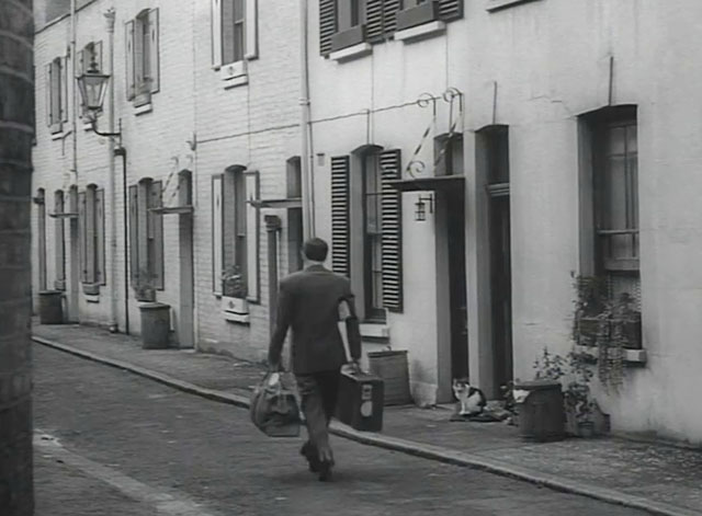 Johnny on the Spot - bicolor cat on front step as Paul Carpenter passes