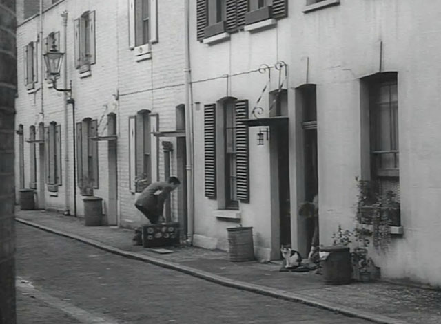 Johnny on the Spot - bicolor cat on front step as man removes shoes