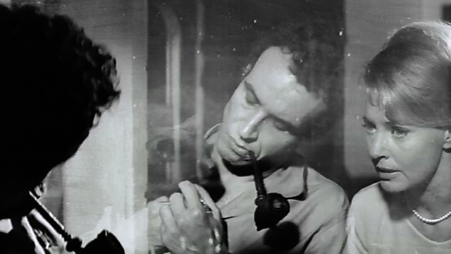 Joy House - Vincent holding gray cat in two-way mirror