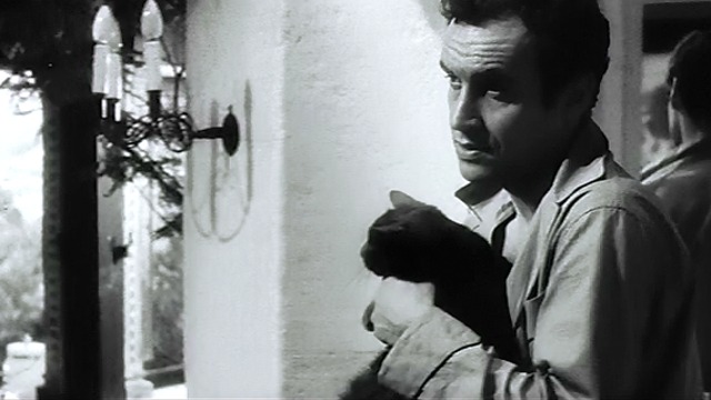 Joy House - Vincent carrying gray cat