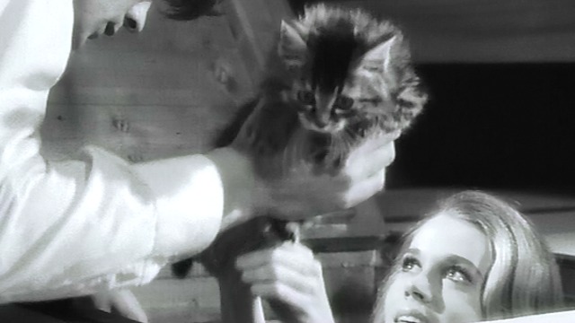 Joy House - Jane Fonda holding up fuzzy tabby kitten