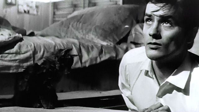 Joy House - Marc Alain Delon with fuzzy tabby kitten