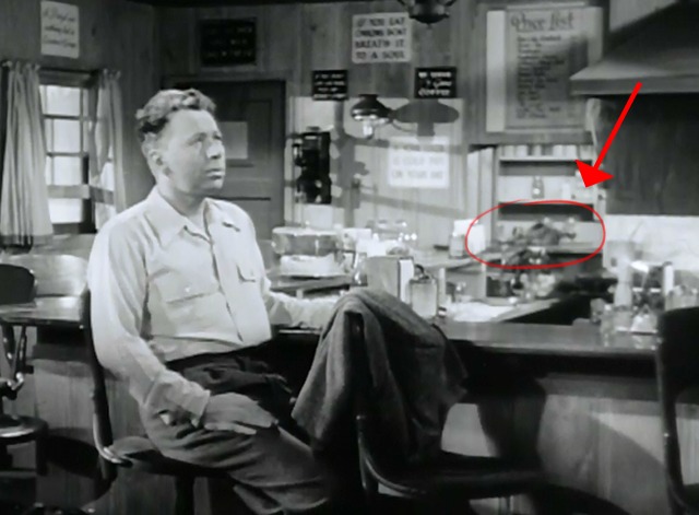 The Judge Steps Out - cat sitting on counter in back of diner