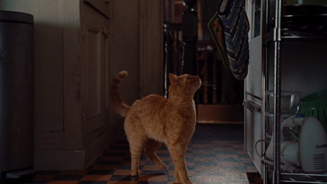 Julie and Julie - Terry ginger cat standing in front of oven