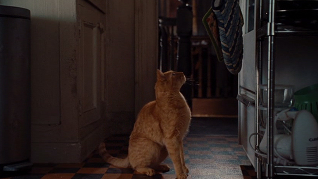 Julie and Julie - Terry ginger cat sitting in front of oven