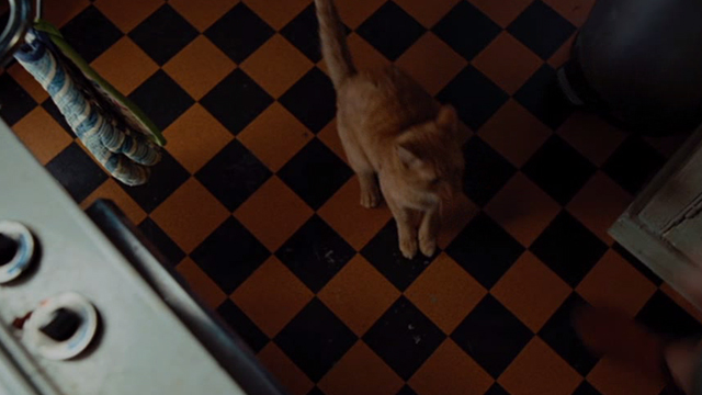 Julie and Julie - Terry ginger cat in kitchen from above