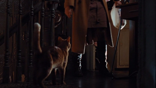 Julie and Julie - Terry ginger cat approaches Julie Amy Adams