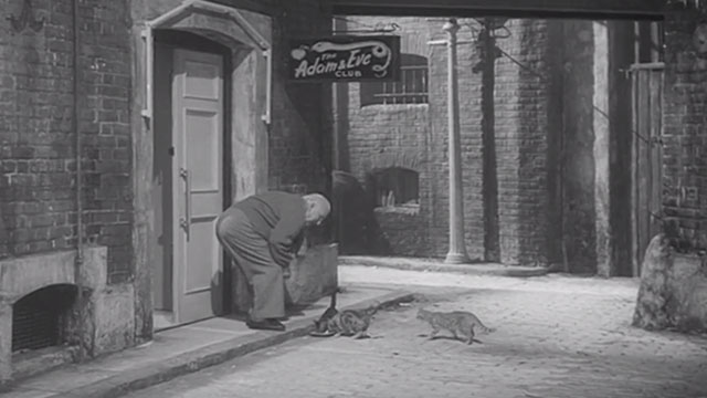 Jungle Street - Old Bill Howard Douglas feeding tabby cats outside club