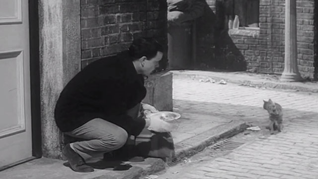 Jungle Street - Johnny Kenneth Cope taking plate of food away from ginger tabby cat