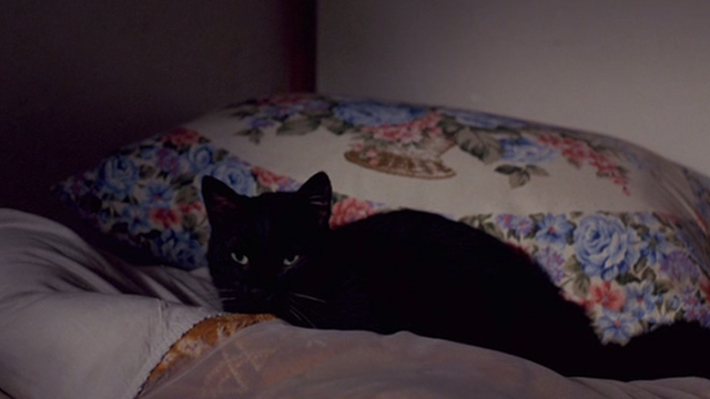 Ju-on - black cat Mar in cupboard