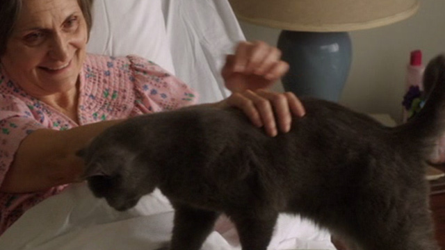 Just Before I Go - grey cat Death Kitty on bed being petted by Mrs. Lawrence Beth Grant