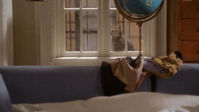 Kate & Leopold - gray cat looking in through window