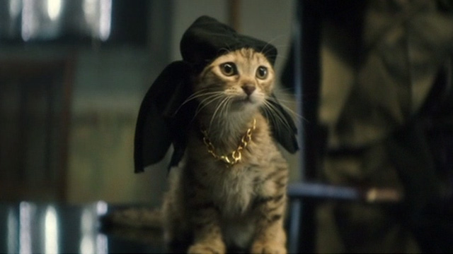 Keanu - gangsta tabby kitten now named New Jack