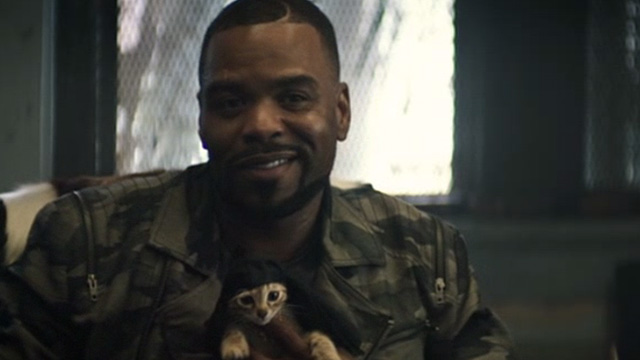 Keanu - tabby kitten being held by Cheddar Method Man