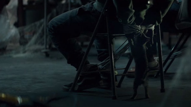 Keanu - tabby kitten clawing at Rell's ropes