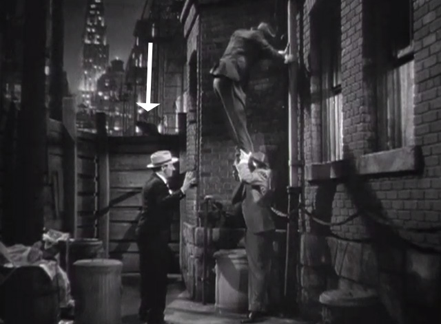 Kentucky Moonshine - cat on fence in back alley with The Ritz Brothers