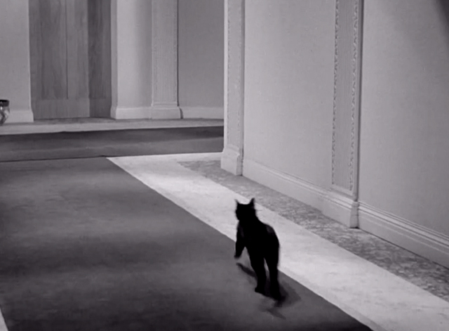 Keystone Hotel - black cat running down hallway
