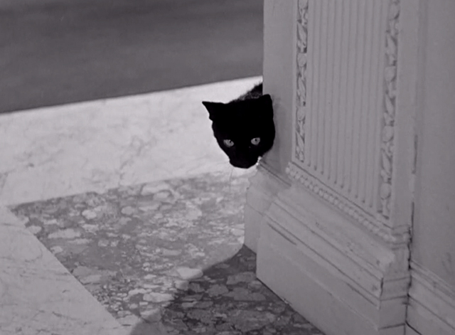 Keystone Hotel - black cat peeking around corner