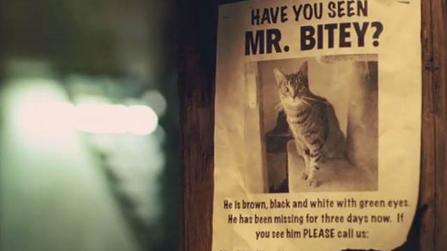 Kick-Ass - tabby cat Mr. Bitey on Lost poster