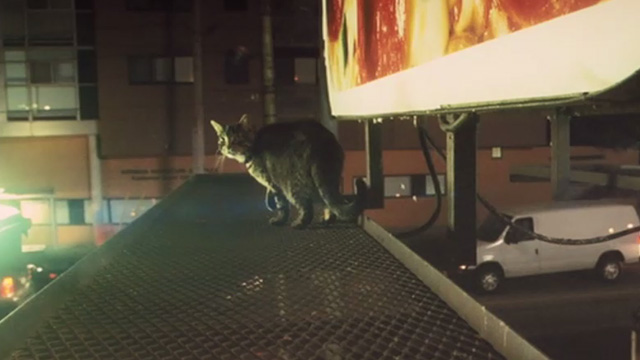 Kick-Ass - tabby cat Mr. Bitey on billboard catwalk