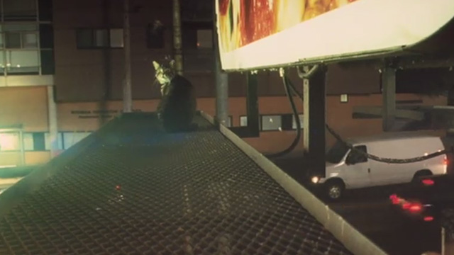 Kick-Ass - tabby cat Mr. Bitey sitting on billboard catwalk