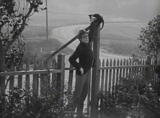 The Kid Brother - Harold Lloyd places small black cat on top of post