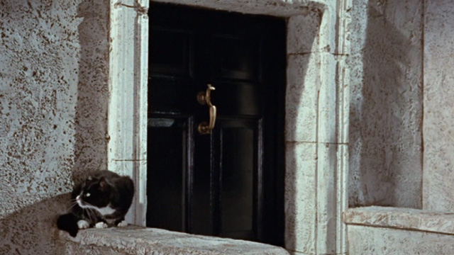 Kidnapped - tuxedo cat sitting outside office