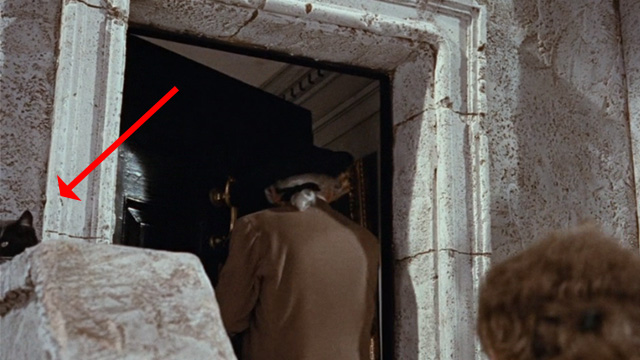 Kidnapped - tuxedo cat just visible outside lawyer's office