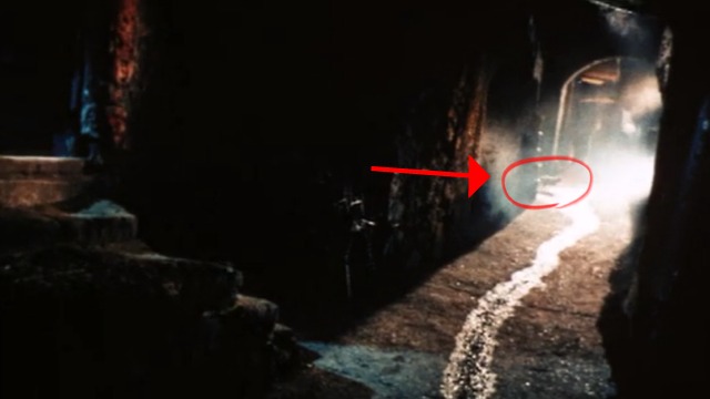 Kill Baby, Kill - white cat running through foggy street