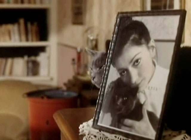 The Killer - blue shorthair cat behind framed photo of woman Sonia Paul and cat