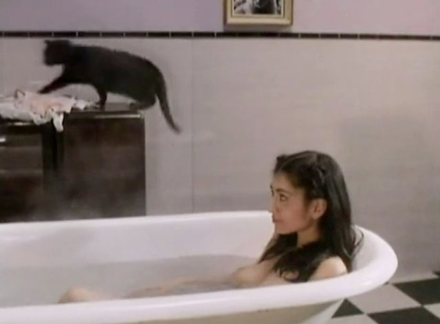 The Killer - blue shorthair cat jumping on counter near woman Sonia Paul in bath